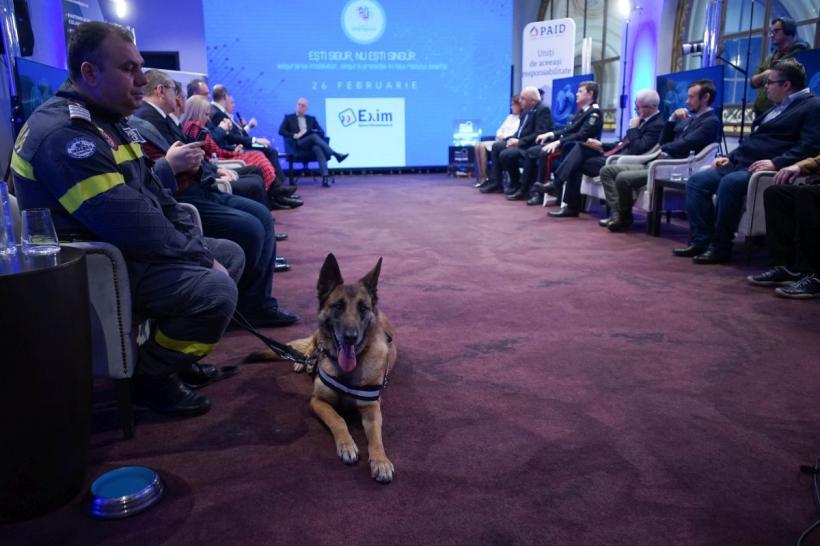 ”Vrancea poate afecta jumătate din teritoriul țării”. Un cutremur tip ’77 va provoca locuințelor pagube de 10 miliarde € 18886585