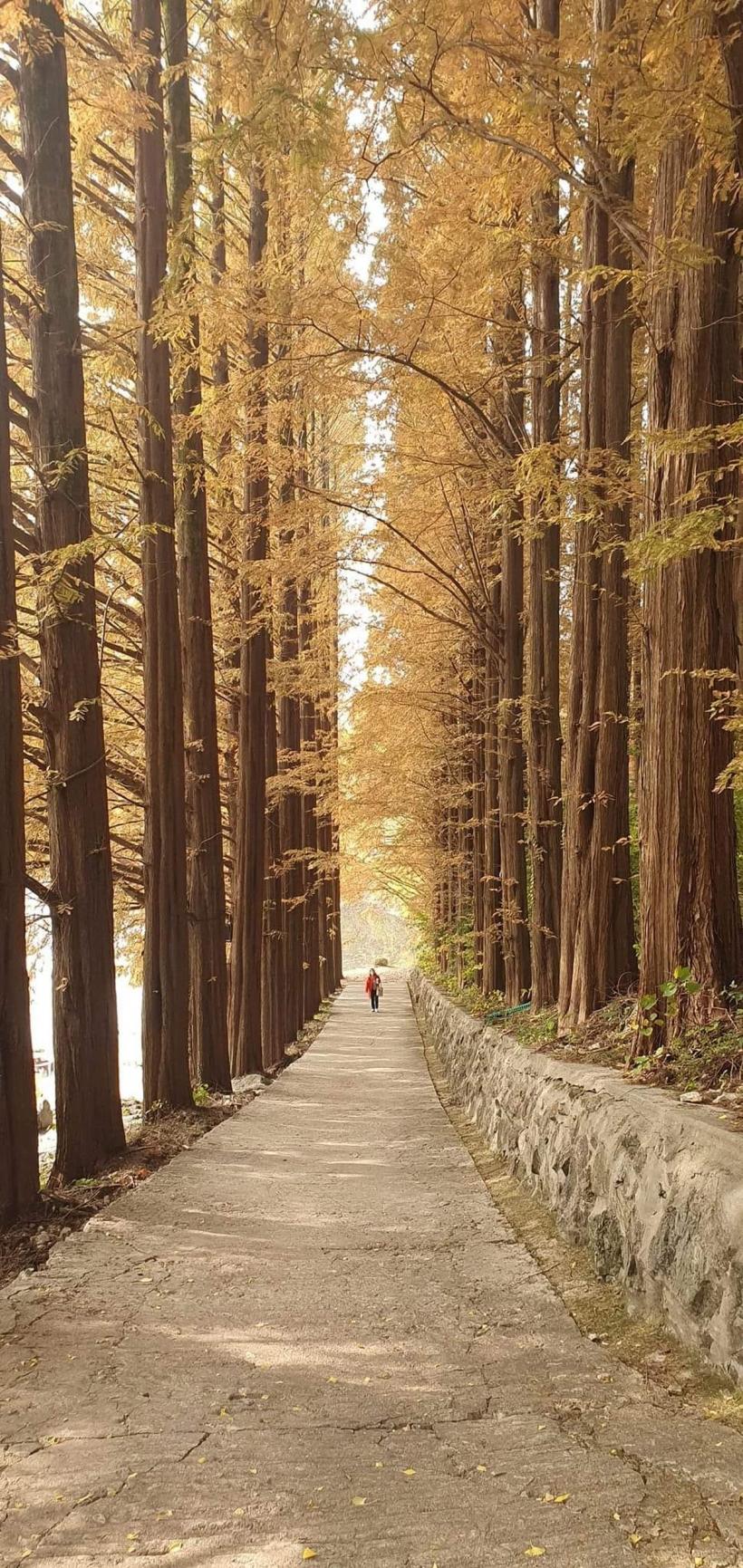 Jeong O Park, profesorul universitar coreean care a descoperit că este nepotul lui Ilie Moromete 18886559