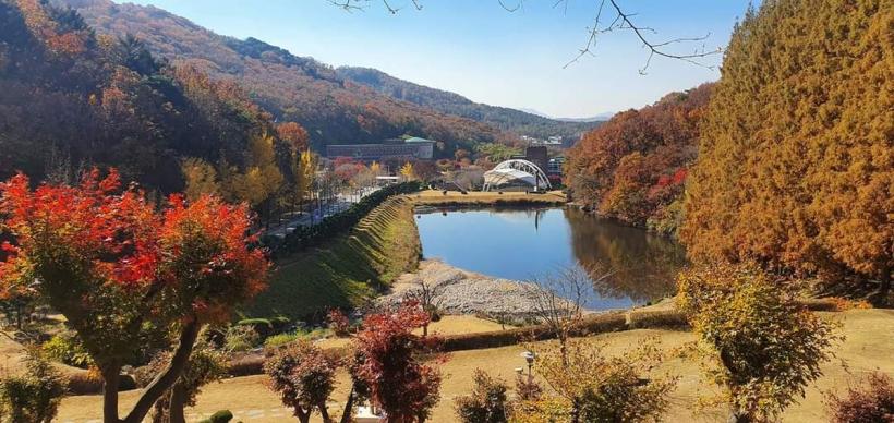 Jeong O Park, profesorul universitar coreean care a descoperit că este nepotul lui Ilie Moromete 18886560