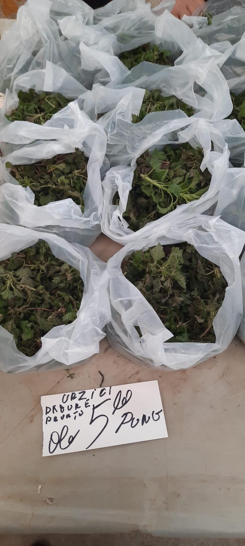 Scumpiri de primăvară. Cât costă urzicile proaspete în Piața Obor din Capitală 18886654