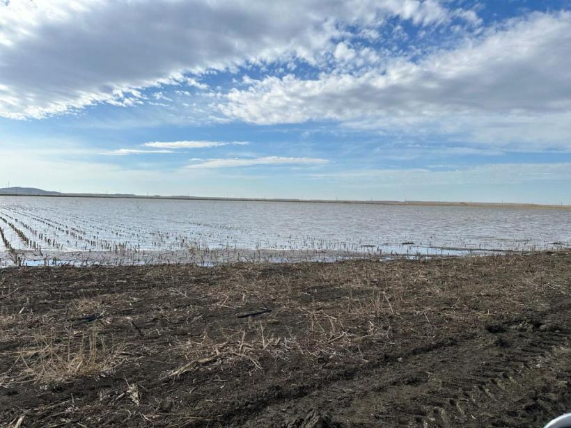 Statul și-a făcut agenție de Înrăutățiri Funciare. Piscină de 1.500 de hectare, pe malul Dunării. Agricultorii sunt disperați 18887002