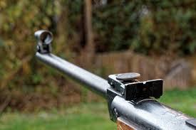 Arme de vânătoare, puști cu alice și pistol cu bile de cauciuc, confiscate la Constanța