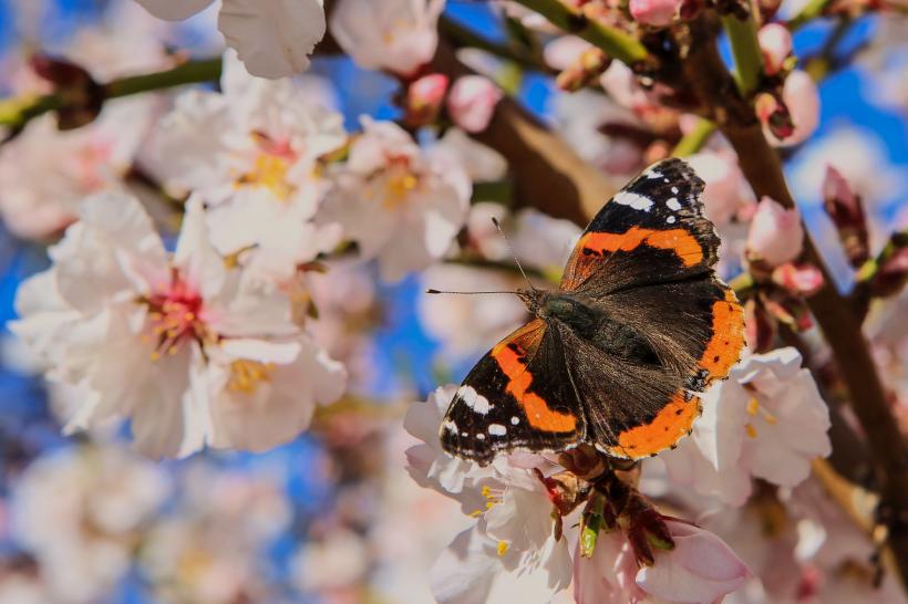 Martie 2024, bogat în precipitații și temperaturi ridicate 18887839