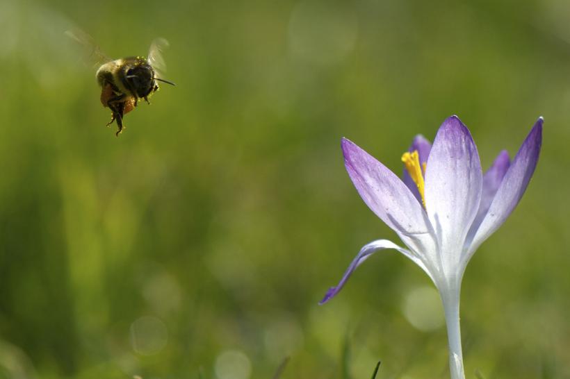 Martie 2024, bogat în precipitații și temperaturi ridicate 18887840