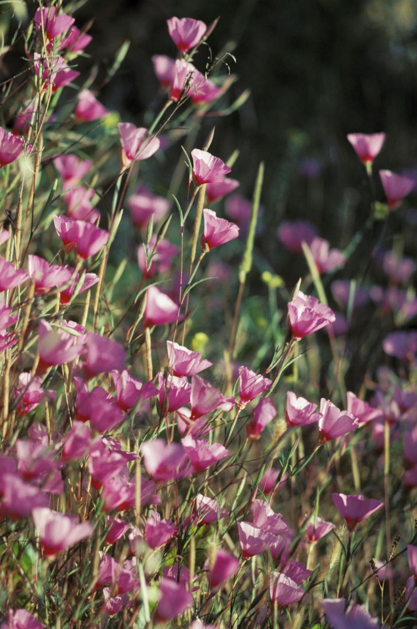 Martie 2024, bogat în precipitații și temperaturi ridicate 18887841