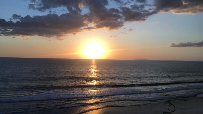 Temperatura oceanelor a depășit în februarie cel mai mare nivel din istorie. Coralii sunt în pericol 18888224