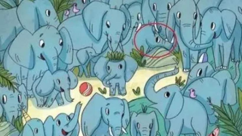 Test de inteligență. Găsește rinocerul ascuns printre elefanți în 10 secunde 18888320