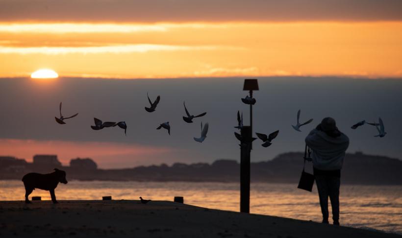 Echinocţiul de primăvară 2024. Data la care începe oficial primăvara astronomică 18888847