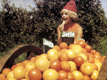 Maryam Tafakory și Eyal Sivan sunt regizorii pe care OWR #17 îi aduce în prim plan 18888960