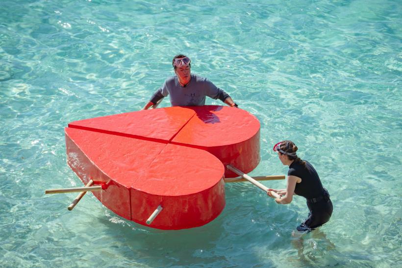 Diseară, de la 20:30, la Antena 1: proba de rezistență din finala Power Couple România decide câștigătorii marelui trofeu 18889311