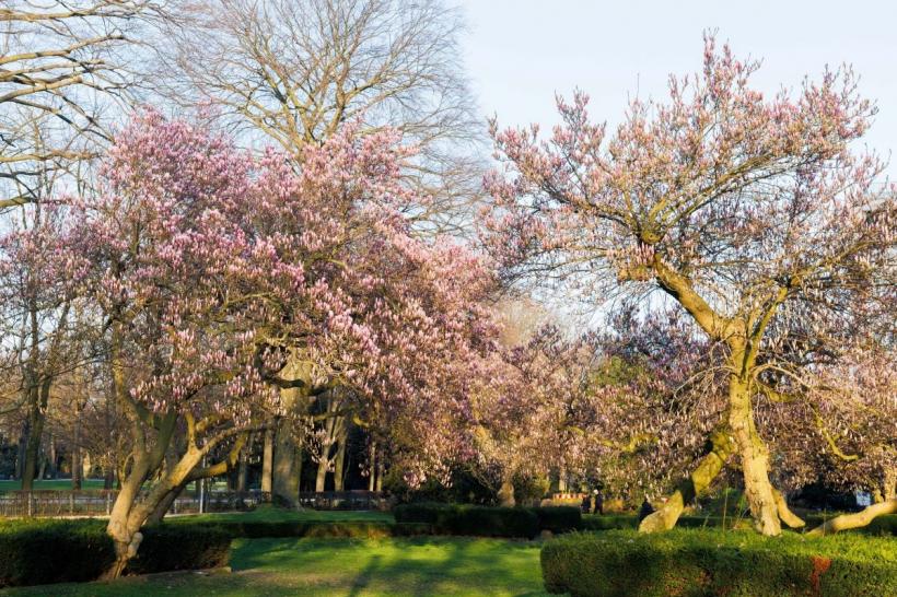 Prognoza pentru următoarele patru săptămâni: Temperaturi mai ridicate decât cele normale 18889621