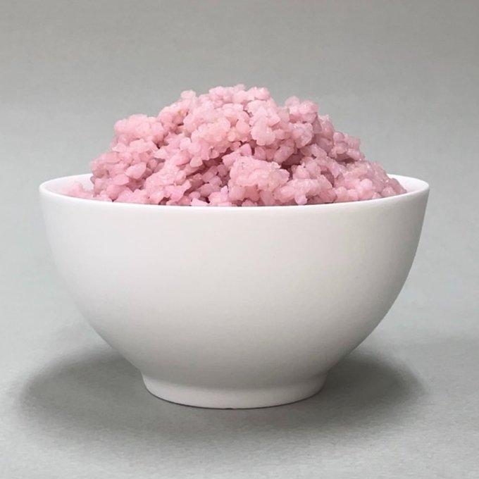 Mâncarea viitorului: "Orezul de vită", sursă importantă de proteine din ingineria alimentară 18889783