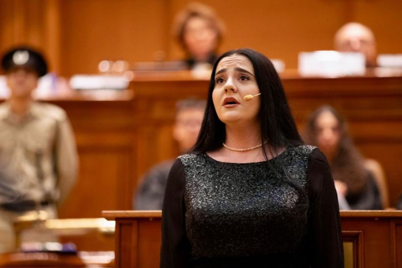 Diplomație în Parlament 18889823