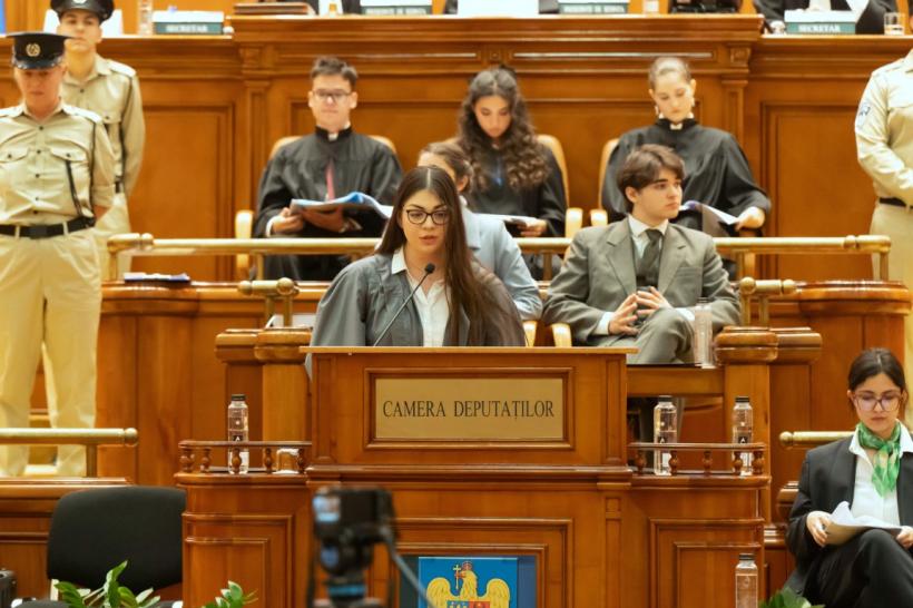 Diplomație în Parlament 18889824