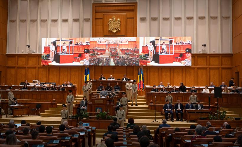 Diplomație în Parlament 18889825