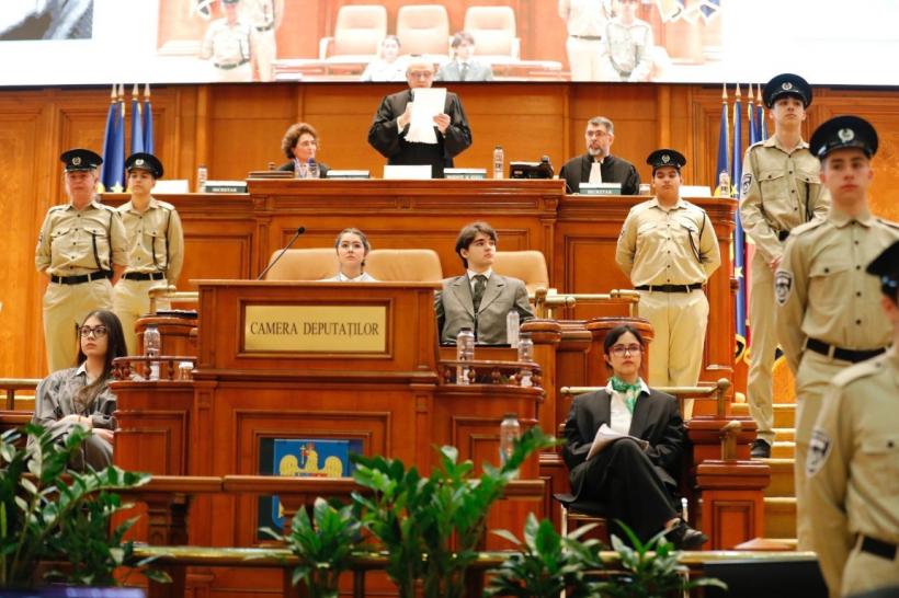 Diplomație în Parlament 18889827