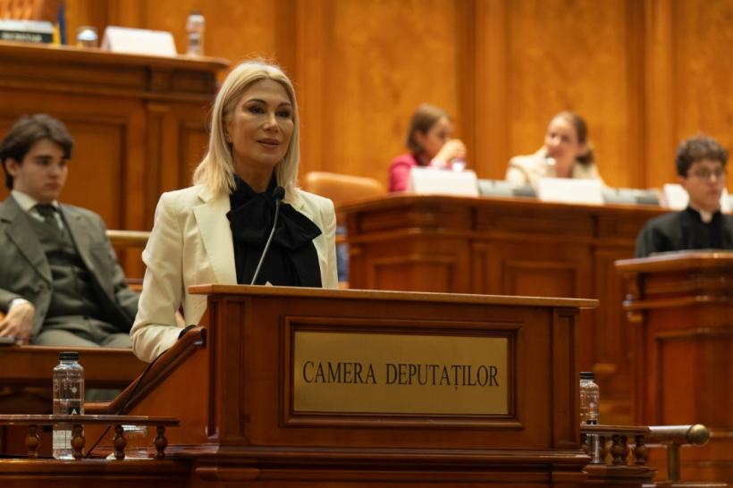 Diplomație în Parlament 18889829