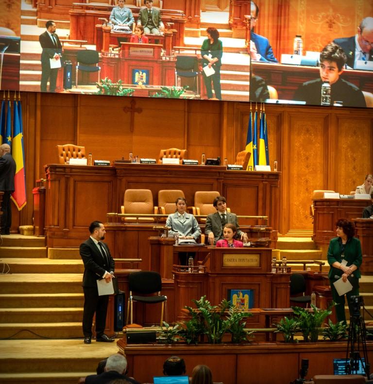 Diplomație în Parlament 18889830