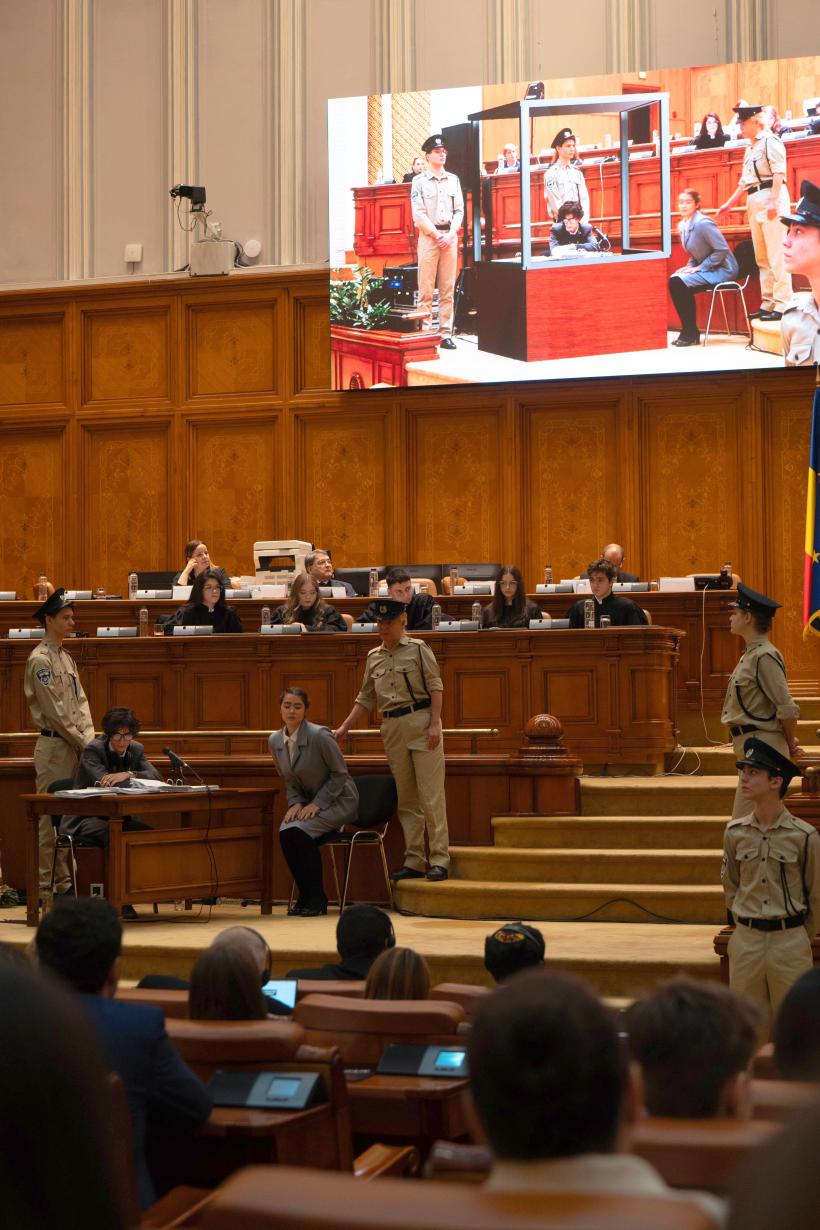 Diplomație în Parlament 18889832