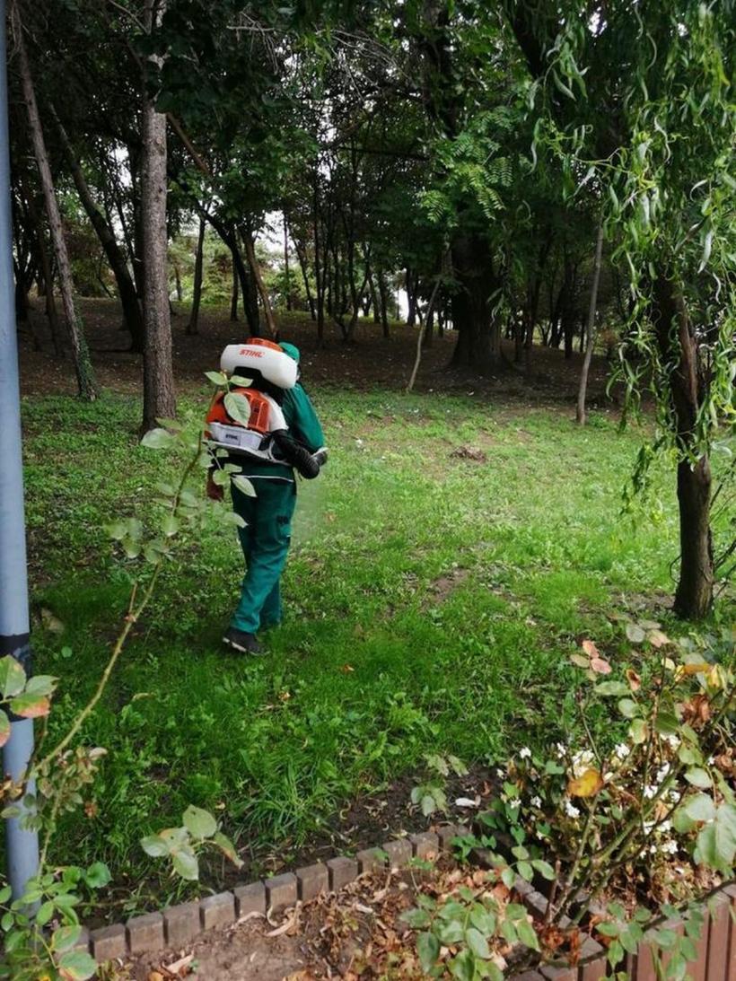 În Capitală începe aplicarea tratamentelor pentru combaterea căpușelor 18890011