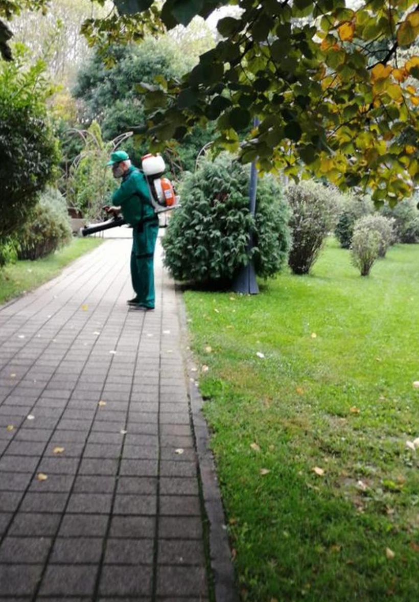 În Capitală începe aplicarea tratamentelor pentru combaterea căpușelor 18890012