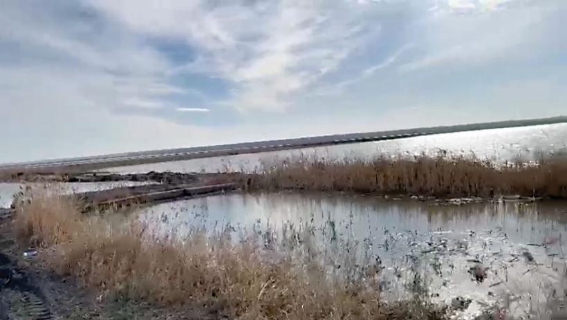 SOS de înec, lansat din mijlocul tarlalelor: La Hârșova, zeci de fermieri continuă să fie bătaia de joc a autorităților 18890002