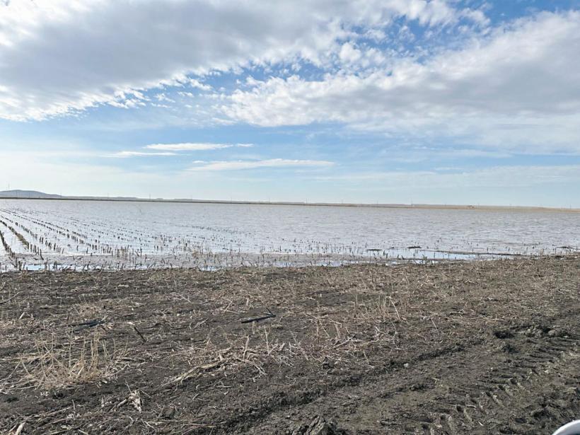 SOS de înec, lansat din mijlocul tarlalelor: La Hârșova, zeci de fermieri continuă să fie bătaia de joc a autorităților 18890003