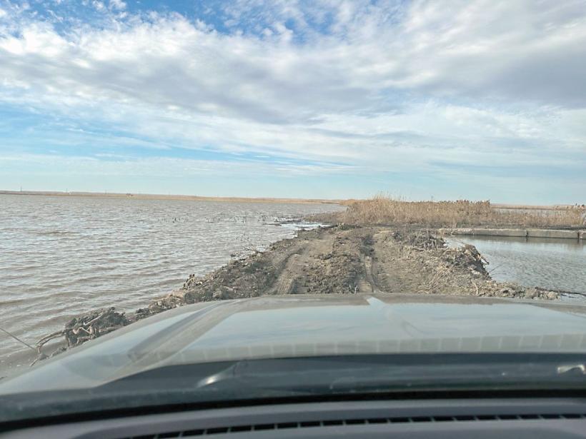 SOS de înec, lansat din mijlocul tarlalelor: La Hârșova, zeci de fermieri continuă să fie bătaia de joc a autorităților 18890004