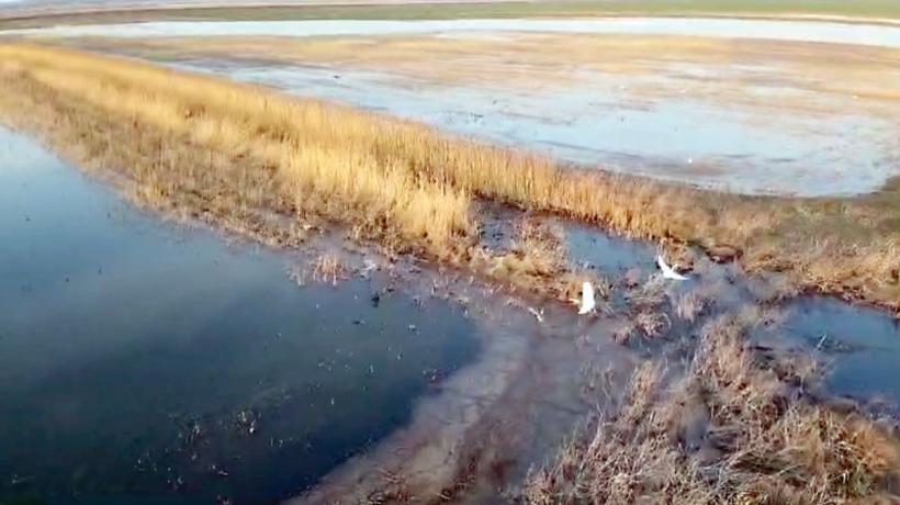 SOS de înec, lansat din mijlocul tarlalelor: La Hârșova, zeci de fermieri continuă să fie bătaia de joc a autorităților 18890006