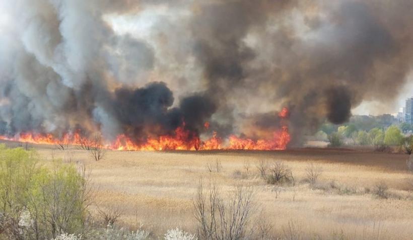 Incendiu de amploare în Delta Văcărești. 1.000 de metri pătrați afectați
