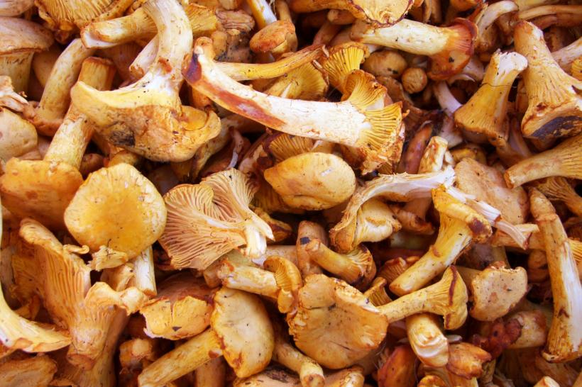 10 alimente care ne stimulează sistemul imunitar și ne mențin sănătoși tot anul 18890557