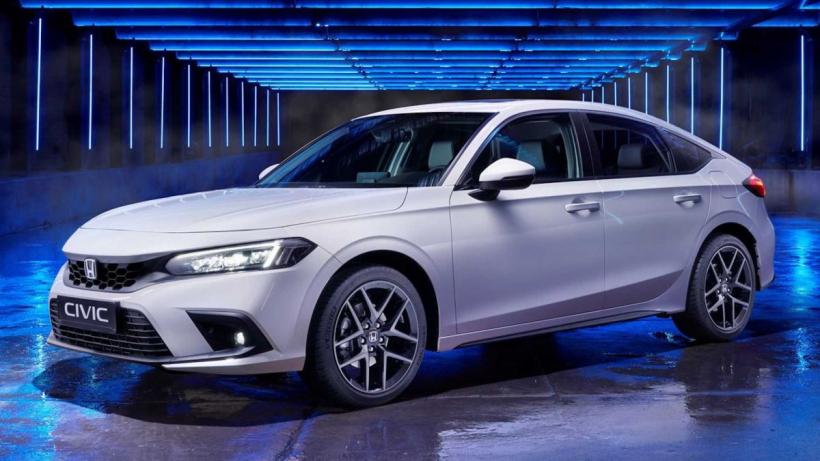 Cele mai convenabile hibride 18890621