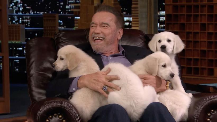 Arnold Schwarzenegger, gata de revenirea la filmări după ce i s-a montat un stimulator cardiac 18891930