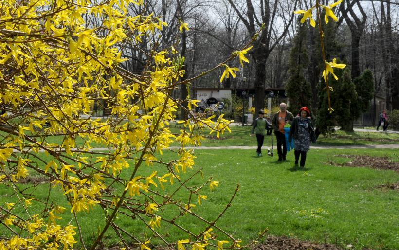 Prognoza pentru luna aprilie: Cum va fi vremea de Florii 18891785