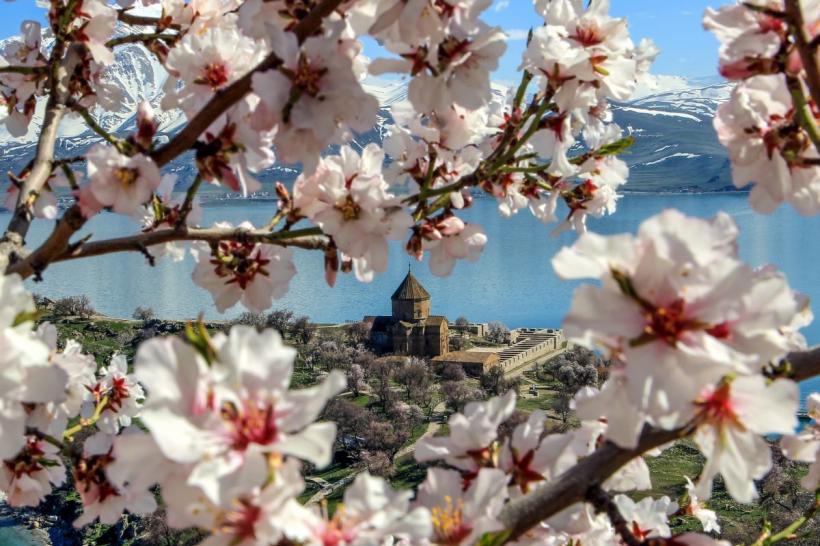 Horoscopul lunii aprilie 2024: A venit momentul să pășești pe calea spre succes 18892027