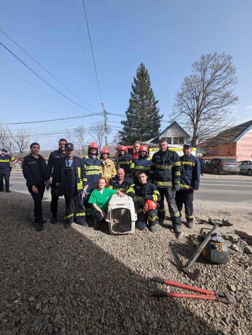Un cățel blocat într-o conductă a fost salvat de pompieri. Aceștia au găurit asfaltul și conducta 18892329