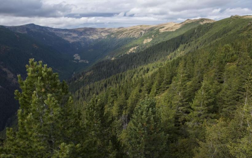 Zeci de sate s-au răsculat împotriva proiectului Yellowstone de România: Rezistența din munți 18892278