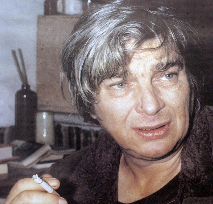 Nichita Stănescu, 5 mănunchiuri de lumină în ochi 18892455