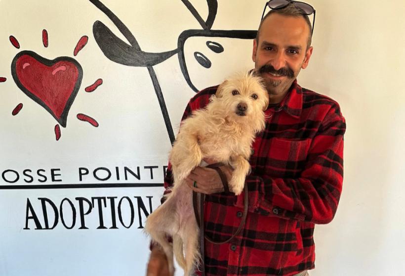  Mishka, un cățel dispărut în iulie anul trecut a fost găsit la 3.000 de kilometri de casă 18892937