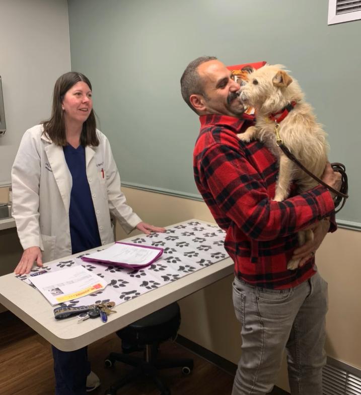  Mishka, un cățel dispărut în iulie anul trecut a fost găsit la 3.000 de kilometri de casă 18892939