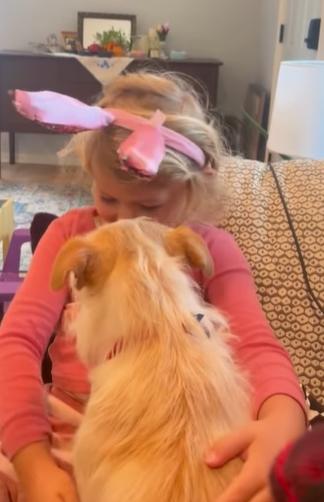  Mishka, un cățel dispărut în iulie anul trecut a fost găsit la 3.000 de kilometri de casă 18892940