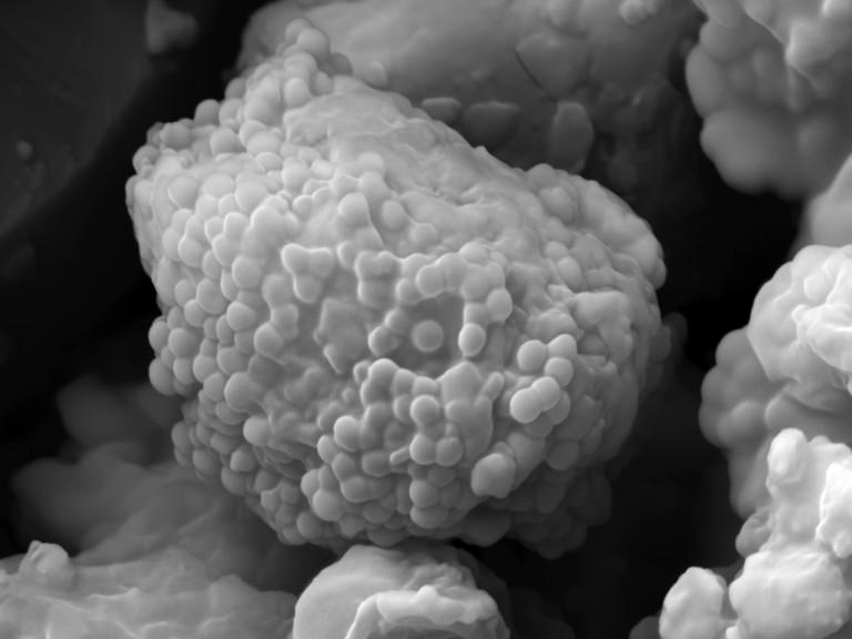 Galeriile bucureștene Anca Poterașu și Ivan expun artiști români la galerii de top din Varșovia 18892928