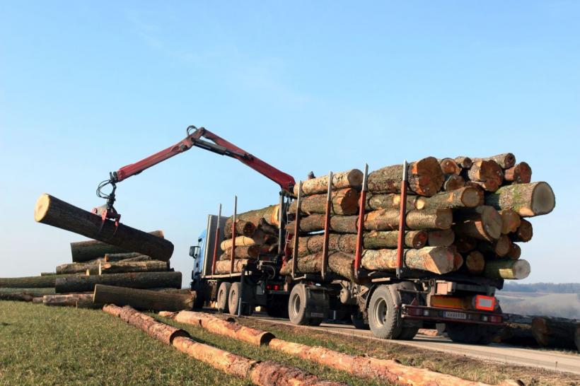 USR avertizează asupra renunțării la confiscarea vehiculelor care transportă ilegal lemne