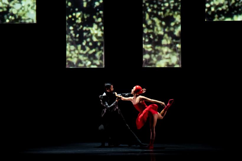 Întâlnirile JTI aniversează 25 de ani cu spectacolul „Alice” al companiei B.DANCE, pentru prima dată în România 18893362