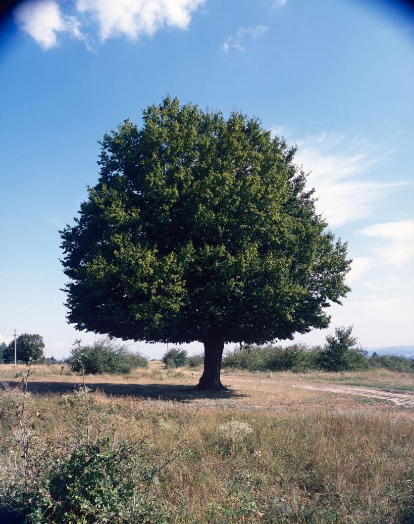 Matei Bejenaru, PROIECȚIE 02 la Kunsthalle Bega 18893554