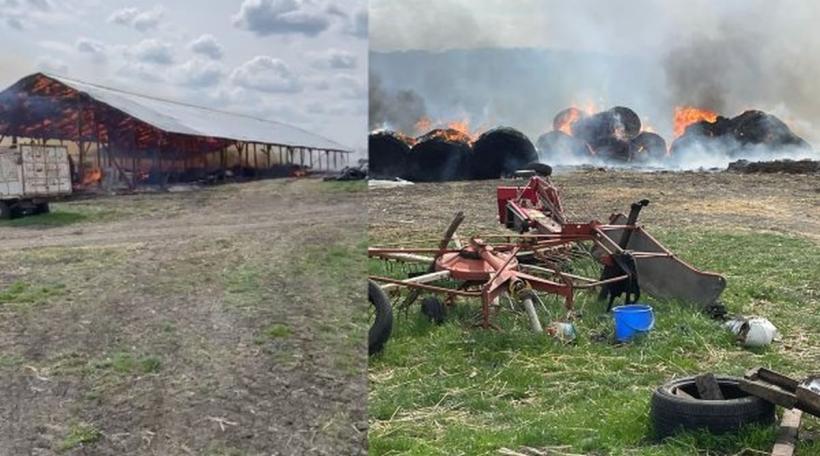 O fermă a luat foc, în Botoșani! Zeci de animale au murit carbonizate