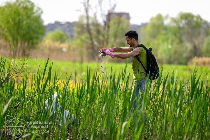 Parcul Natural Văcărești, îngropat sub tone de deșeuri 18894184