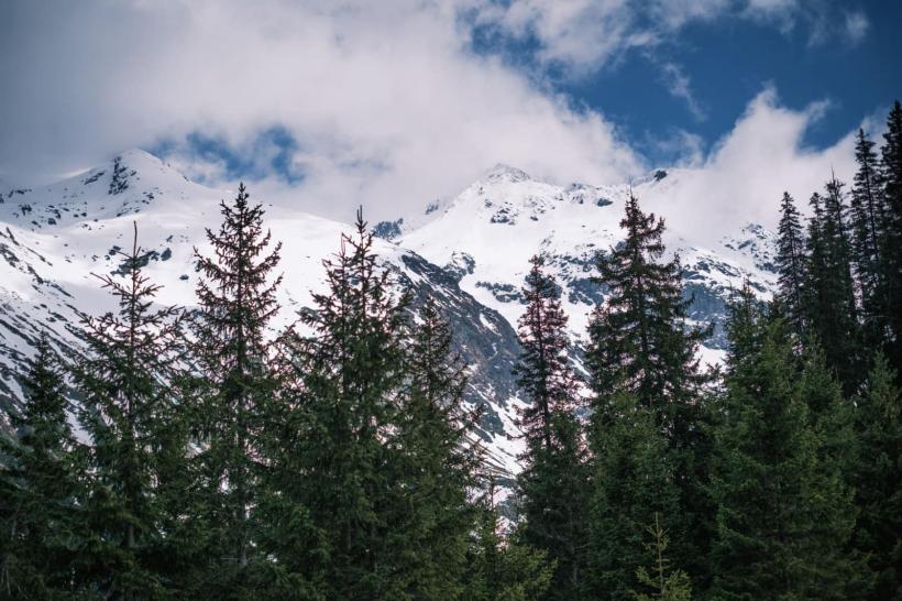 Extraordinara poveste a cabanei Negoiu, prima cabană montană construită în România, în anul 1880 18894733