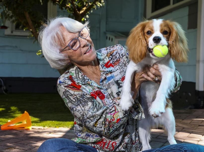 8 cele mai potrivite rase de câini pentru seniori