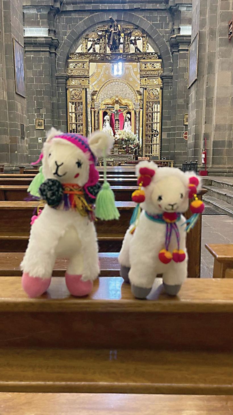 În aerul rarefiat al incașilor 18895925